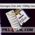 Kamagra Oral Jelly 100Mg Use 11